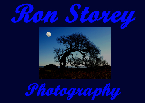 Welcome to Ron Storey's Photography
