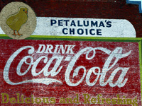 Petaluma's Choice
